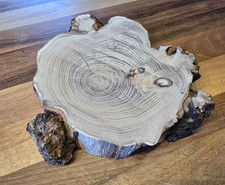 Baumscheibe Robinie mit