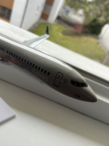 Flugzeugmodell 100 boeing - 100,