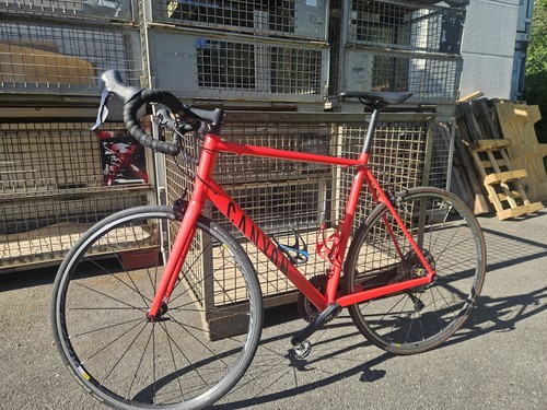 Canyon rennrad endurace al - canyon,