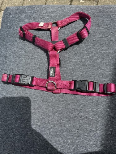 Anione hundegeschirr leine - anione,