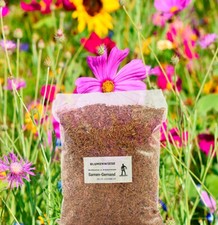 Blumenwiese Wildblumen und