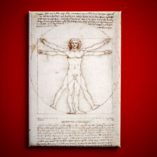 Vitruvianischer Mensch von