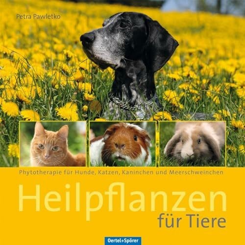 Heilpflanzen für tiere - für,