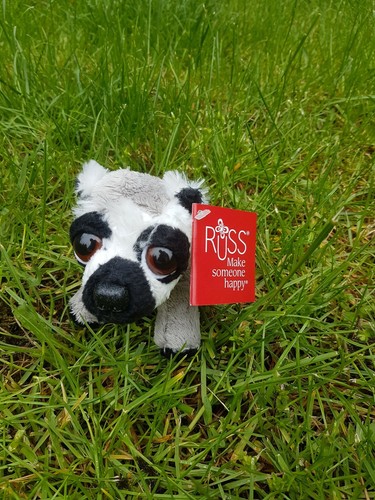 Russ berrie lemur peepers 13cm - berrie,