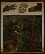 Schulwandkarte Rollbild