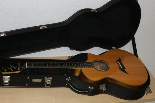 Breedlove master class concert - breedlove,