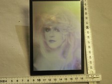 1 Hologramm, Frau Stevie Nicks