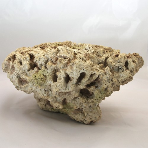 Riffgestein x 19 - 37, cm