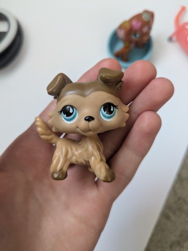 Littlest pet shop lps 893 - littlest,