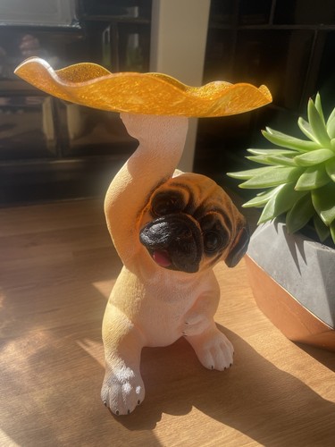 Mops rehkitz hund - mops, hund.
