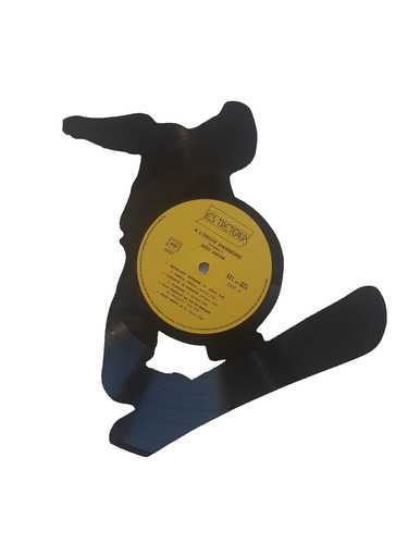 Snowboard fan schallplatte - fan,