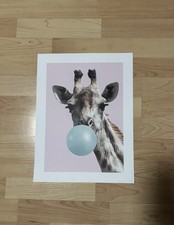 Giraffe mit Kaugummi Bild
