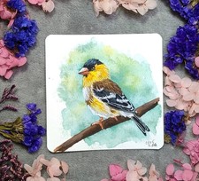 Erlenzeisig Vogel Aqurellbild