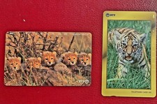 JAPAN___Tiger Löwe Gepard