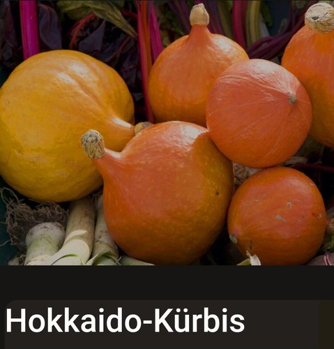 Hokkaido kürbis samen - hokkaido, /