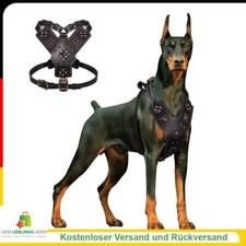 Echtleder Hundegeschirr –