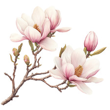 Wandtattoo Aufkleber  Aquarell