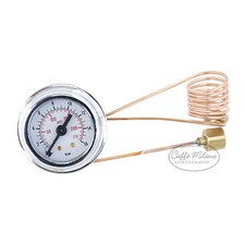 Isomac Zaffiro Tea Millenium