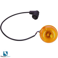 Blinkleuchte P21/5W Links