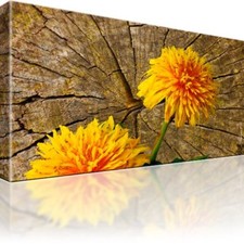 Pusteblume Blume Bild auf Leinwand Fotodruck Einteilige Wandbilder