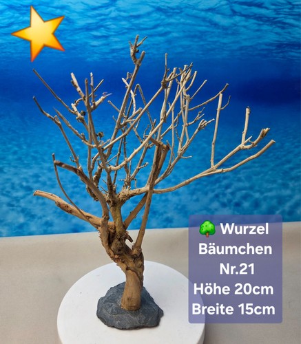 Aquarium wurzel bonsai - wurzel,