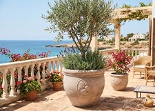 Pflanzkübel Apple Dekor