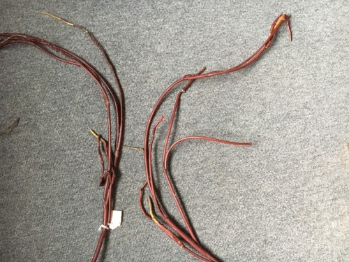 Ast rot florale - ,