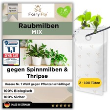 Raubmilben Mix gegen Thripse &