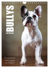 Bullys mit Charme -