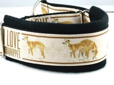 Hundehalsband, Windhund  "Whippet"  gepolstert S 30 bis 35 cm, handgefertigt