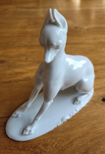 Rosenthal hund pinscher - hund, th