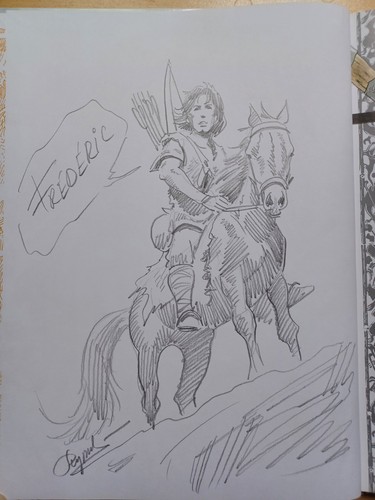 Comic die welten von thorgal - comic,