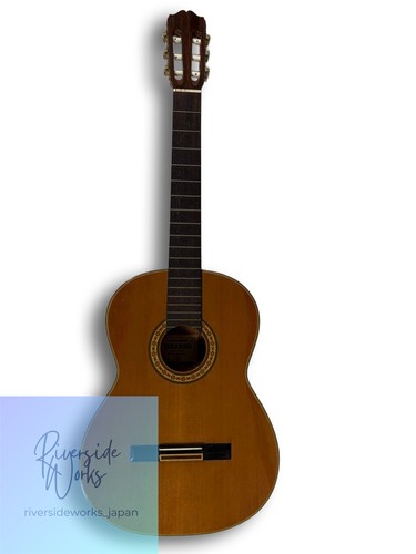 Takamine konzertgitarre modell - takamine,