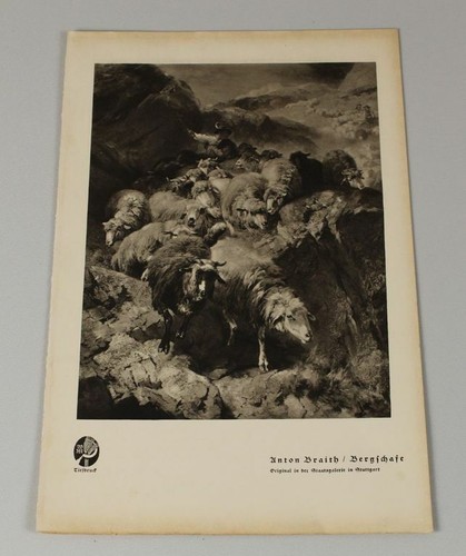 Bergschafe motiv von anton - ,,