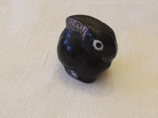 Ein kleiner alter Hase