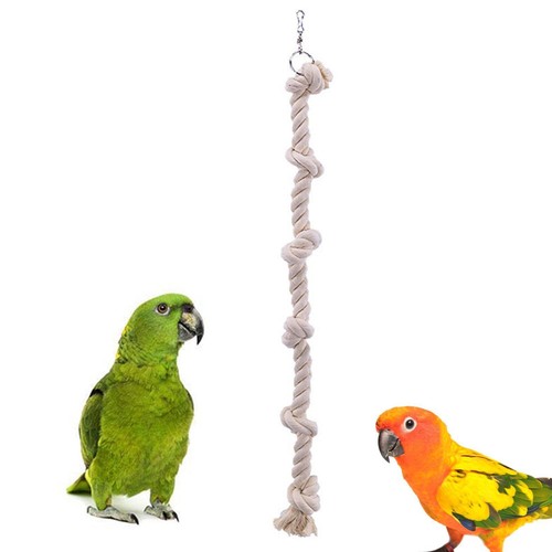 Vogel kauseil papageienseil - vogel-kauseil,,