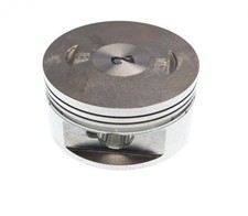 13300-E11-000 Kolben Access