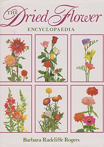 The dried flower - flower, encyclopaedia