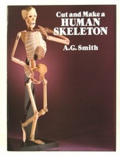 Dover Publications USA 26124 - Menschliches Skelett 42 cm = Human Skeletton