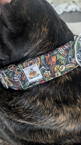 Halsband für große - , hunde