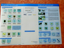 XXL-Poster "Parasitologie & Dermatologie" -Mikroskop-Unterlage 64x44 cm !!!
