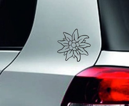 Aufkleber auto tattoo - dub, jdm