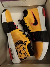 Nike Lebron Witness 8