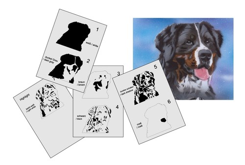 341 hund bernersennen - as-341,