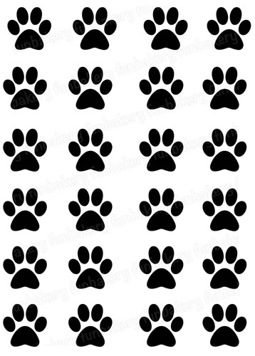 Hunde pfoten paw - hunde,
