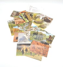 Penny Bedrohte Tierwelt 1-50