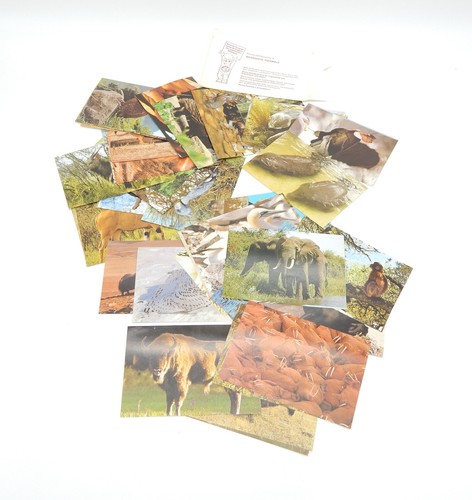 Penny bedrohte tierwelt 50 - penny,