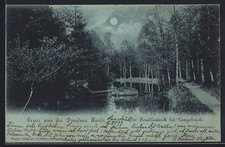 Mondschein-AK Langebrück /Dresdner Haide, Der Forellenteich 1899 