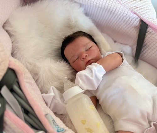 Reborn fake baby life - reborn,