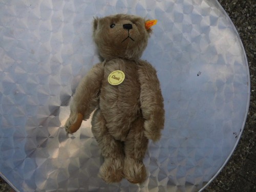 Steiff teddy classic mit - teddy,
